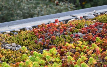 the cost of Pegwell green roof installation