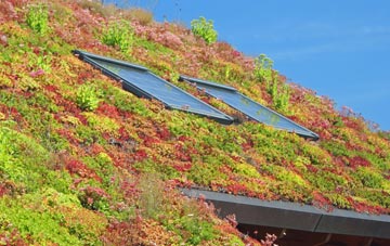 Pegwell living roof systems